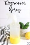 homemade degreaser spray