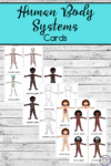 Human Body Systems Cards