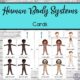 Human Body Systems Cards four colour pages
