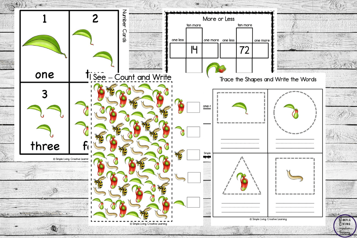 Pitcher Plant life cycle printables math pages