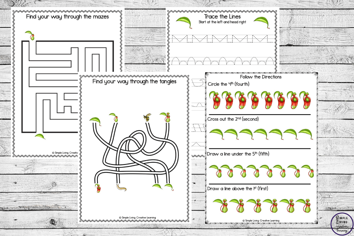 Pitcher Plant Life Cycle Printables activities
