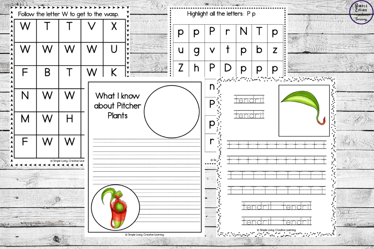 Pitcher Plant life cycle printables literacy pages