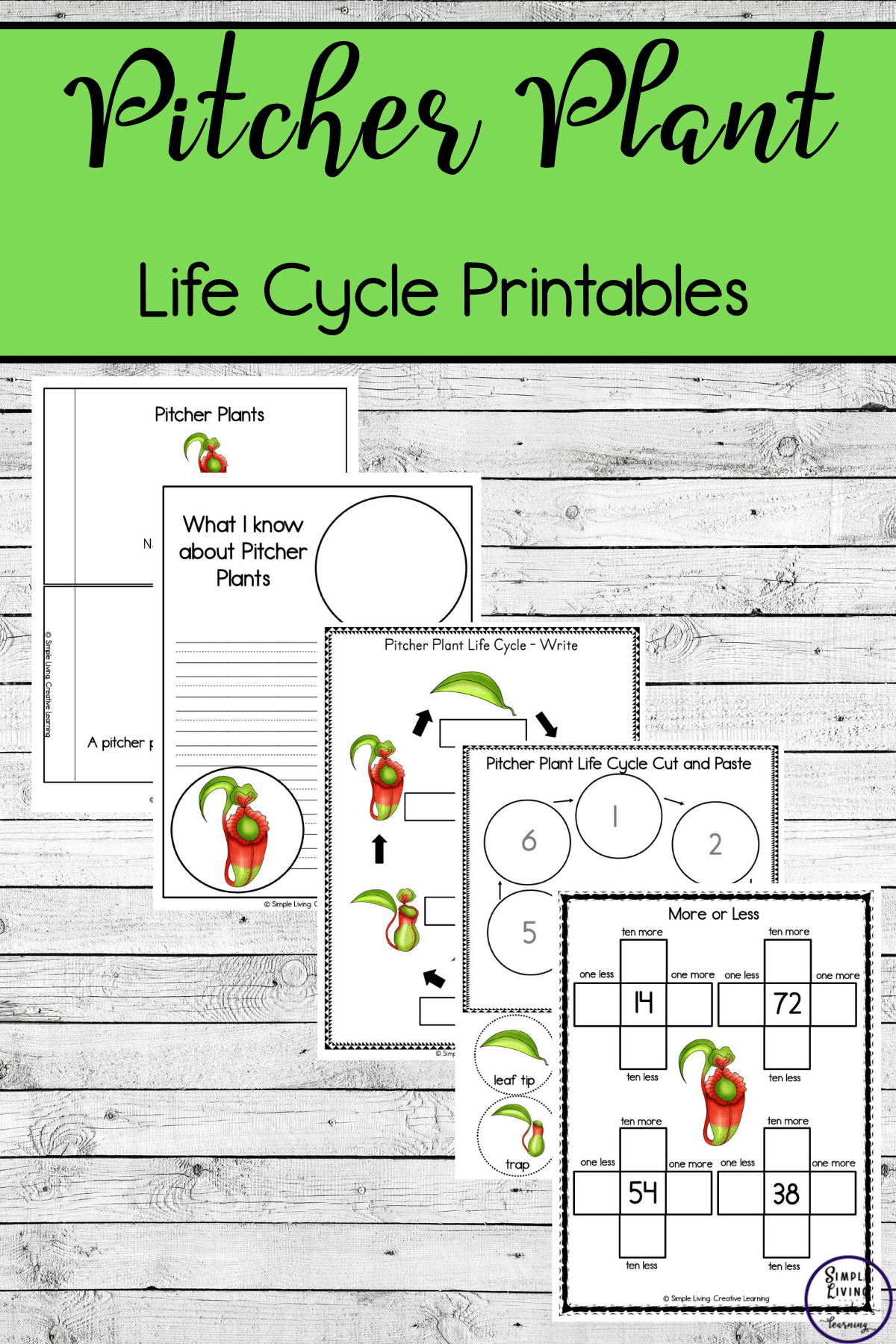 Pitcher Plant life cycle printables