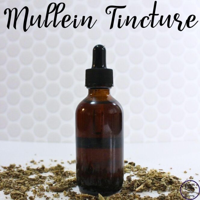 How to Make Mullein Tincture in a dropper bottle