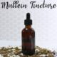 How to Make Mullein Tincture in a dropper bottle