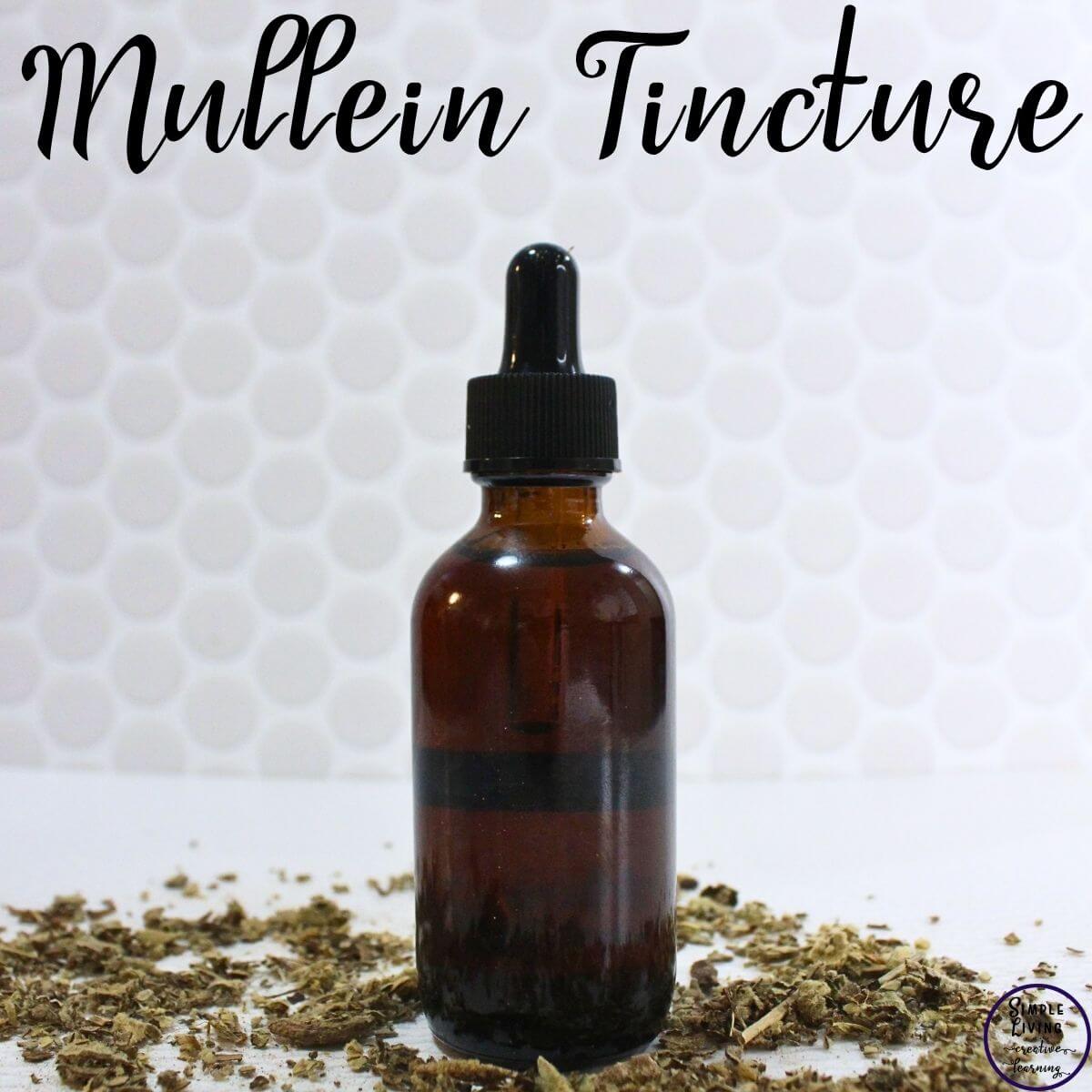 How to Make Mullein Tincture in a dropper bottle