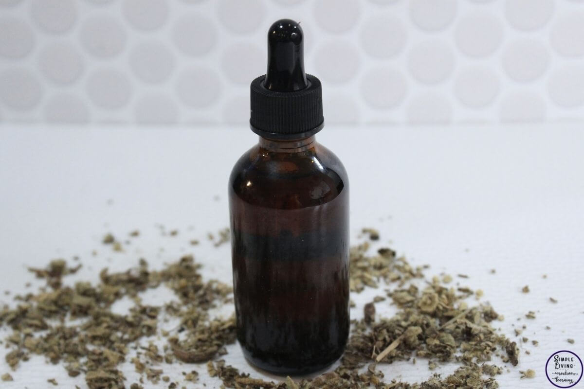 How to Make Mullein Tincture in a bottle ready to use