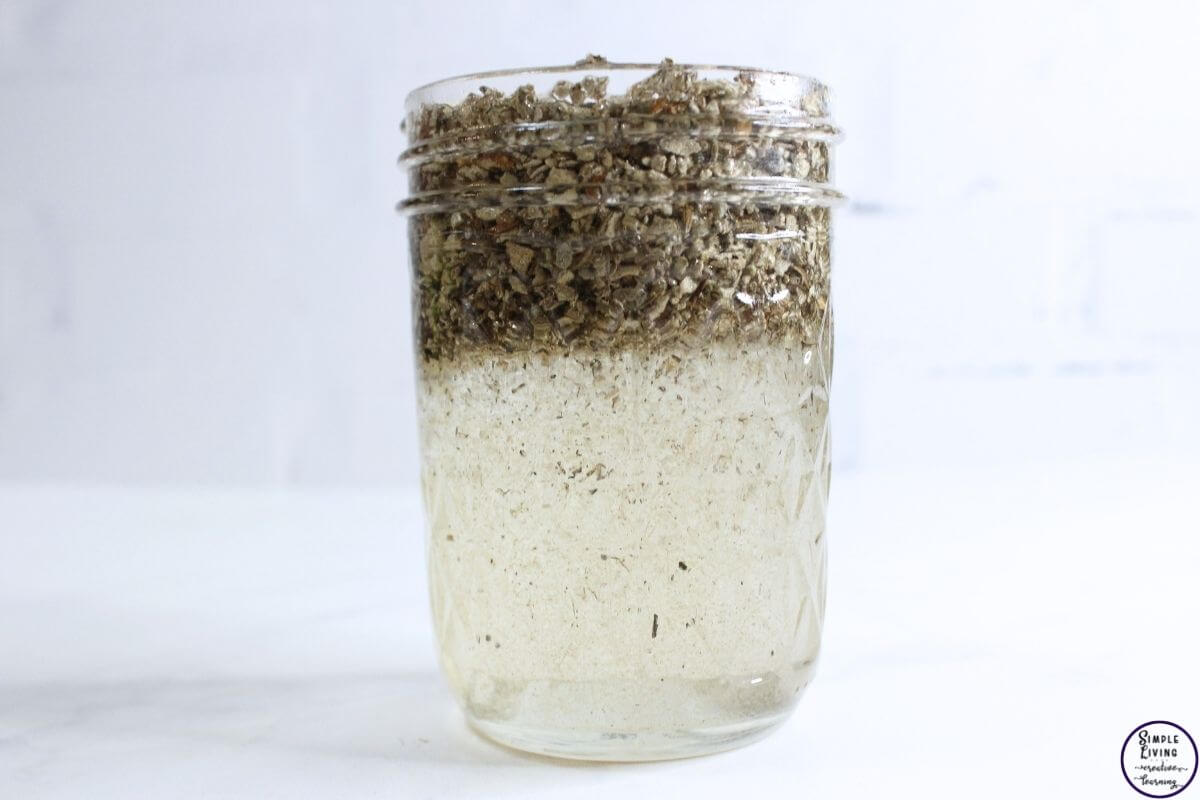 How to Make Mullein Tincture ingredients in a jar