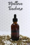 How to Make Mullein Tincture