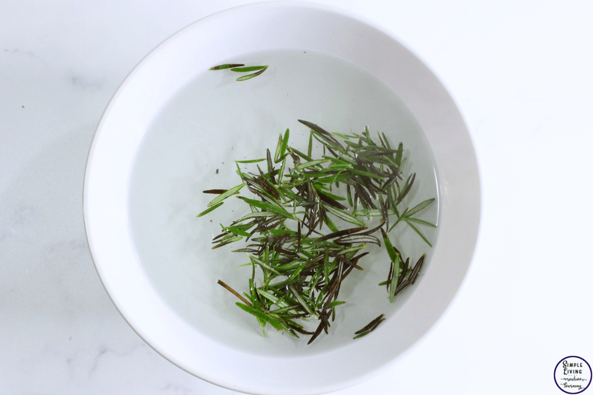 Rosemary Spray for Hair adding rosemary to water